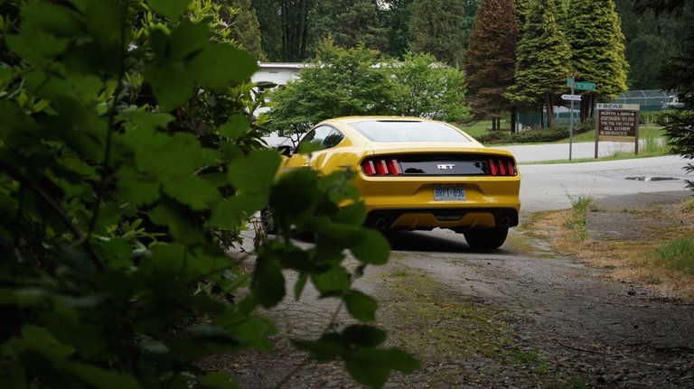 2015_Ford_Mustang_GT_4.jpg