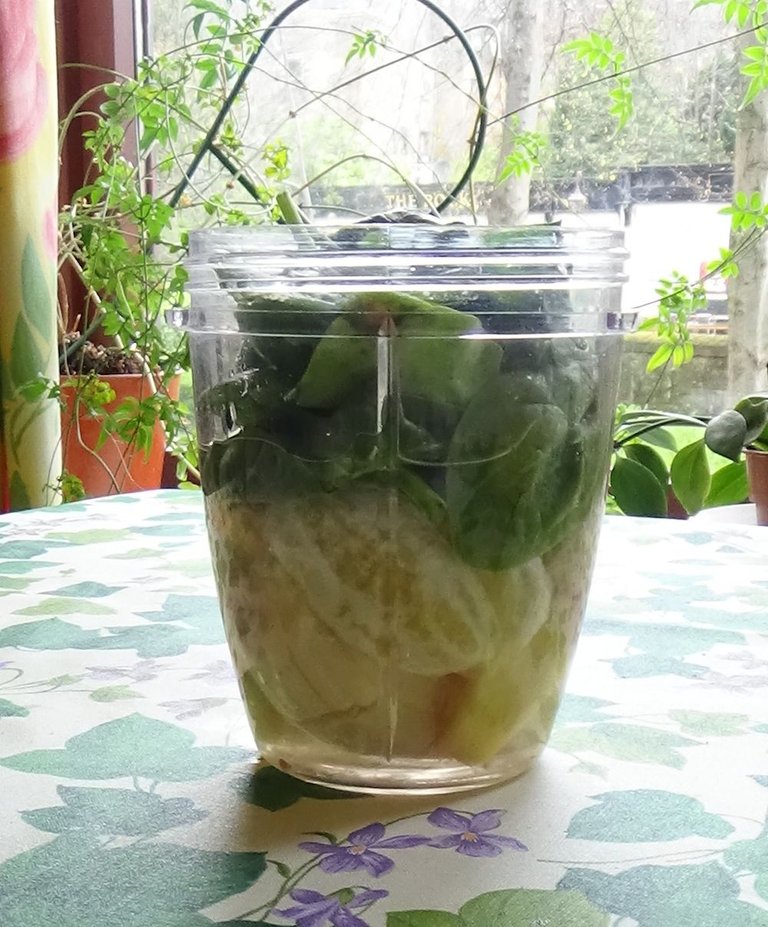 Green smoothie ingredients in Nutribullet jug sml.jpg