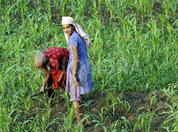 437371-nepal-village-girls-farming.jpeg