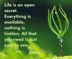 osho.jpg