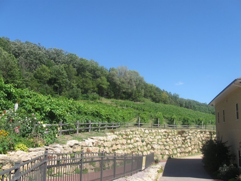 Wollersheim Winery 2015-04.JPG