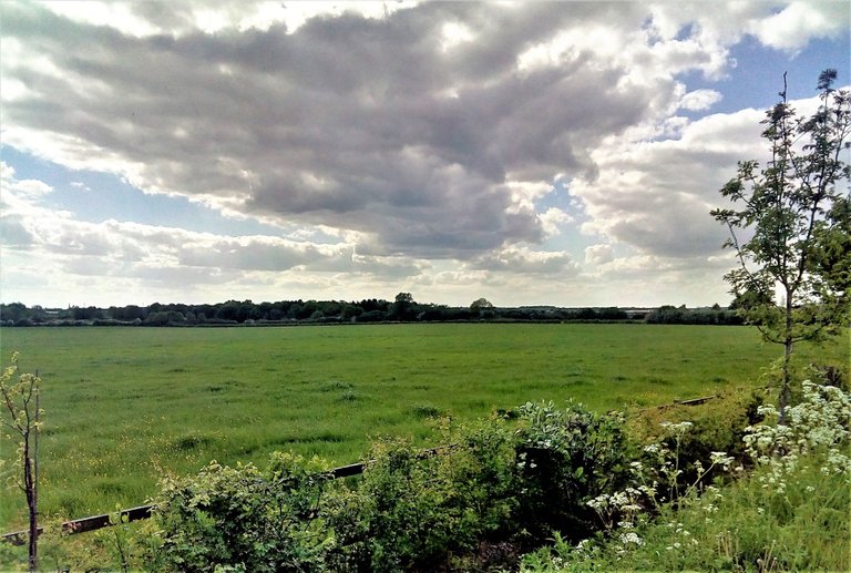 landscape field and clouds.jpg