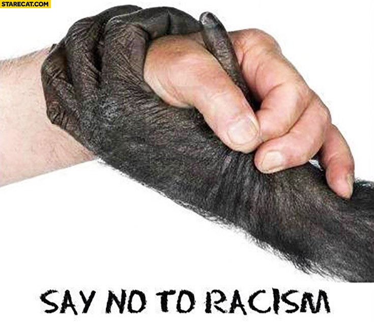 say-no-to-racism-human-gorrila-monkey-hand.jpg