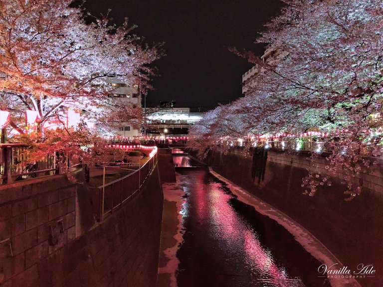 nakameguro2_1.jpg