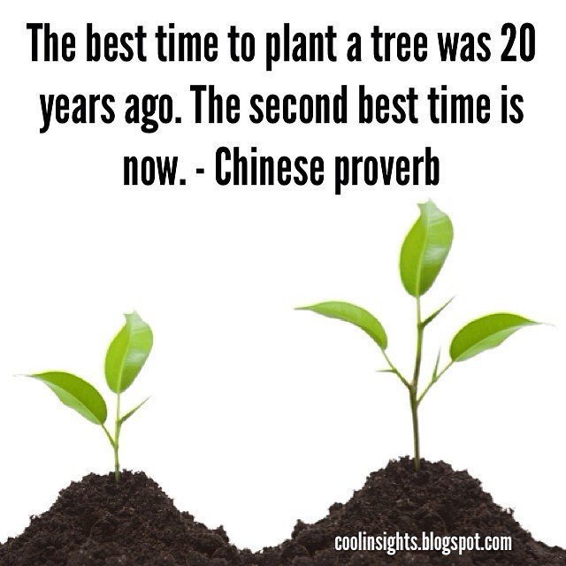 Chinese tree planting proverb.jpg