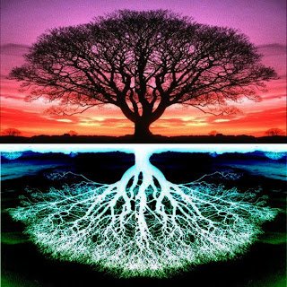 treeoflife.jpg