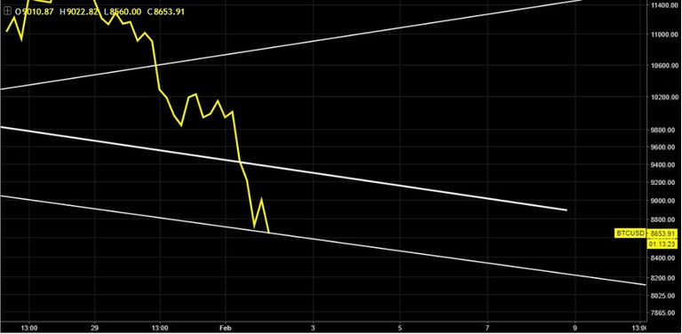 zoom btc yellow.jpg