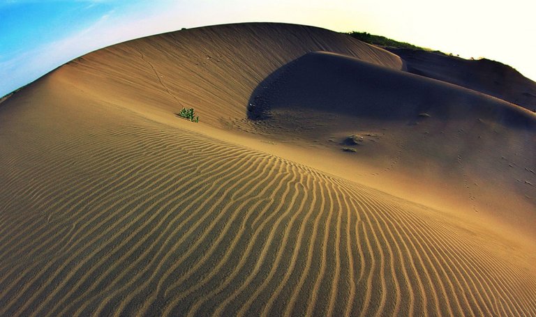 gurun-pasir-parangkusumo-_tempat-di-Indonesia-mirip-luar-negeri-1024x607.jpg
