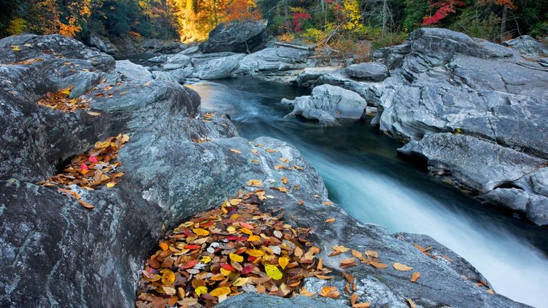 Chattooga River 1920x1080.jpg