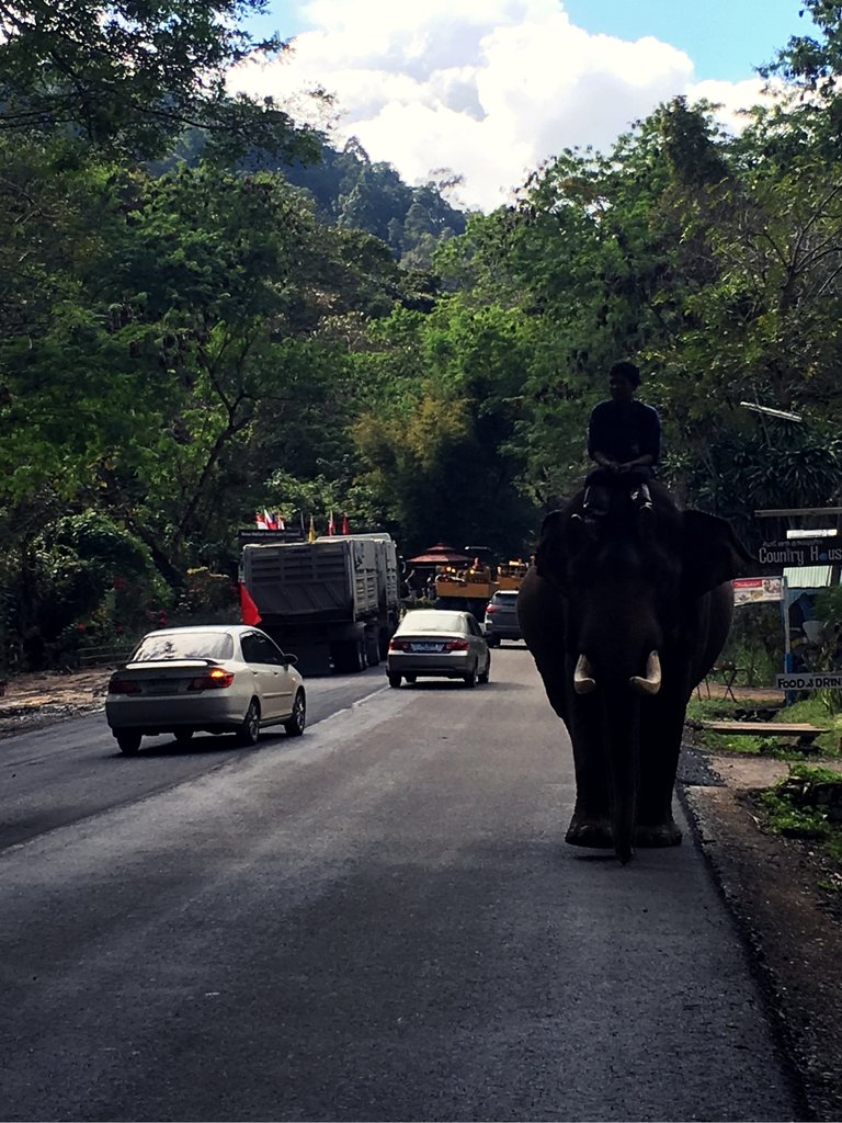 Mountains Chiang Mai Thailand Beautiful 2.jpg