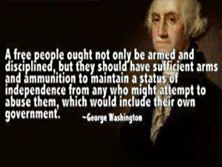 george washington second amendment.jpg