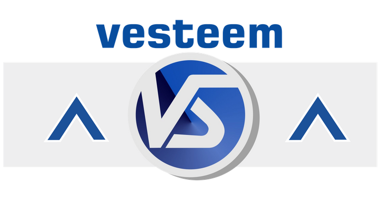 vesteem2.png