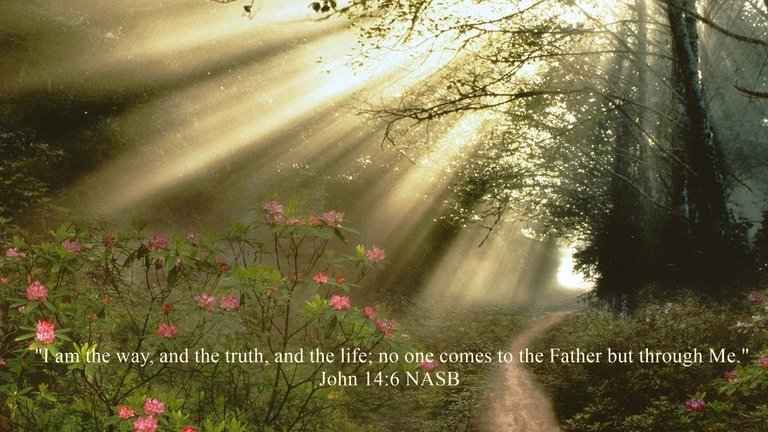 I am the way, and the truth, and the life John 14 6.jpg