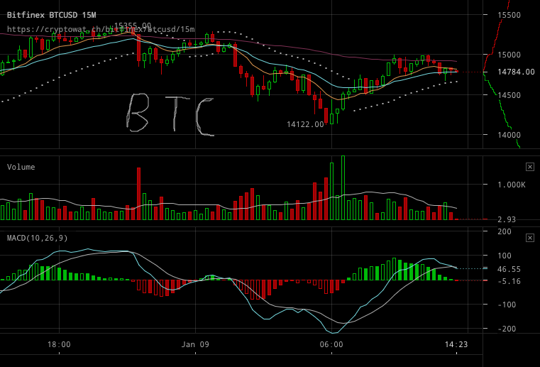 bitfinex-btcusd-Jan-09-2018-12-30-37.png