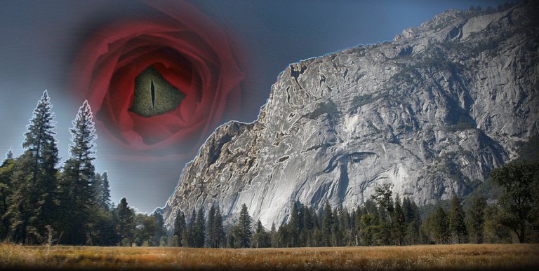 Yosemiterose.jpg