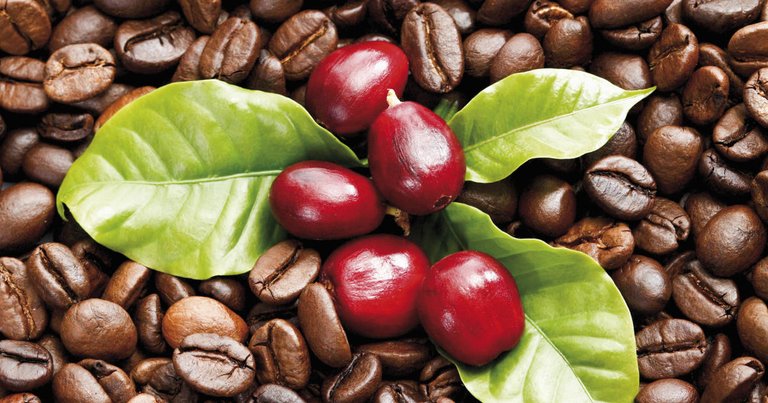 2015-09-21-coffee-fruit-acts-as-an-anti-inflammatory-and-can-help-boost-your-immune-system-fb.jpg