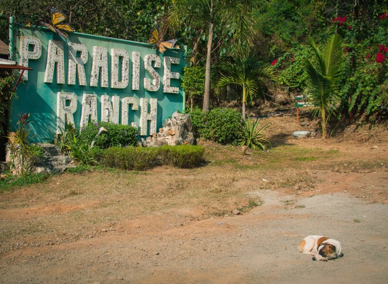 paradise ranch entrance.jpg