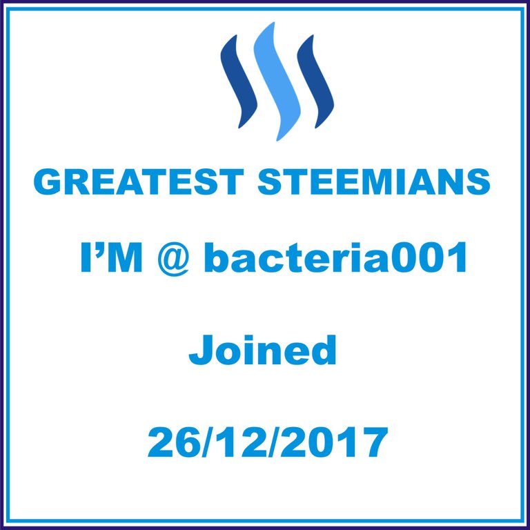 steemit.jpg