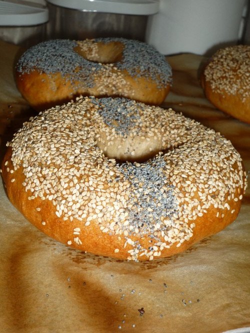 Bagels au Levain