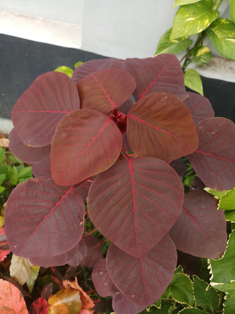 20180410_101342.jpg
