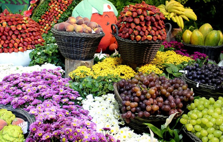 festa das flores 3.jpg