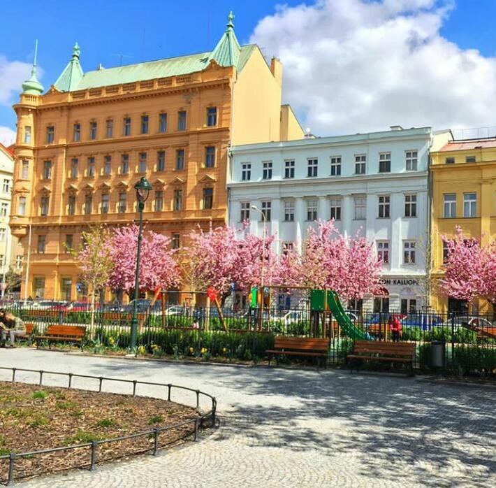 plaza de karlin praga.jpg