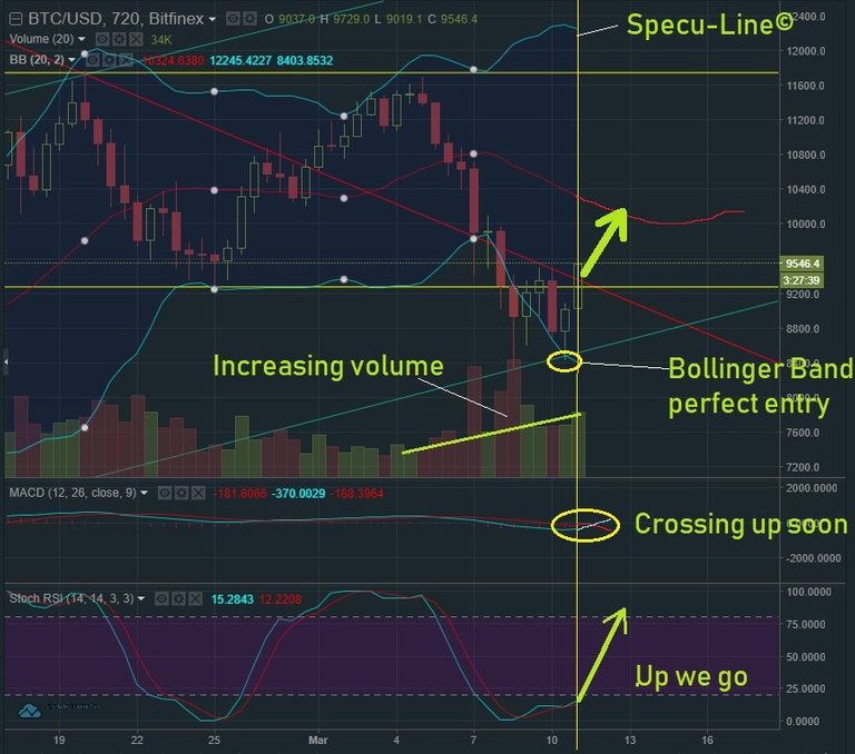 March 11 BTC T&A.jpg