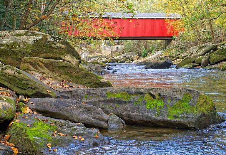 Puente parque oensilvania.jpg