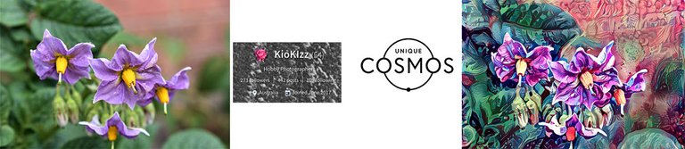 kiokizzUniqueCosmos.png