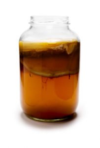 Kombucha_Mature-203x300.jpg