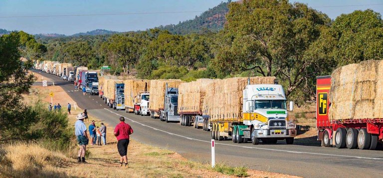 Burrumbuttock-Hay-Runners-08.jpg