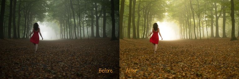 14-beforeafter.jpg