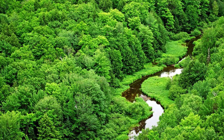green 2.jpg