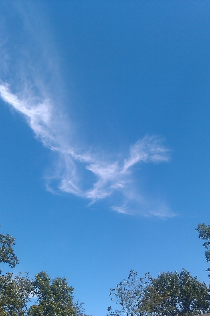 53542fcf105fd1172f1aa8bd568bad4d--angel-clouds.jpg