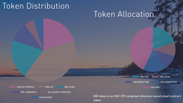 token allocation.png