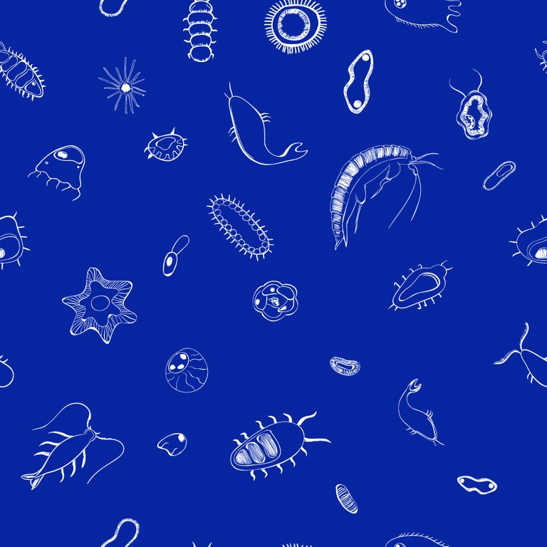 plankton pattern blue.jpg