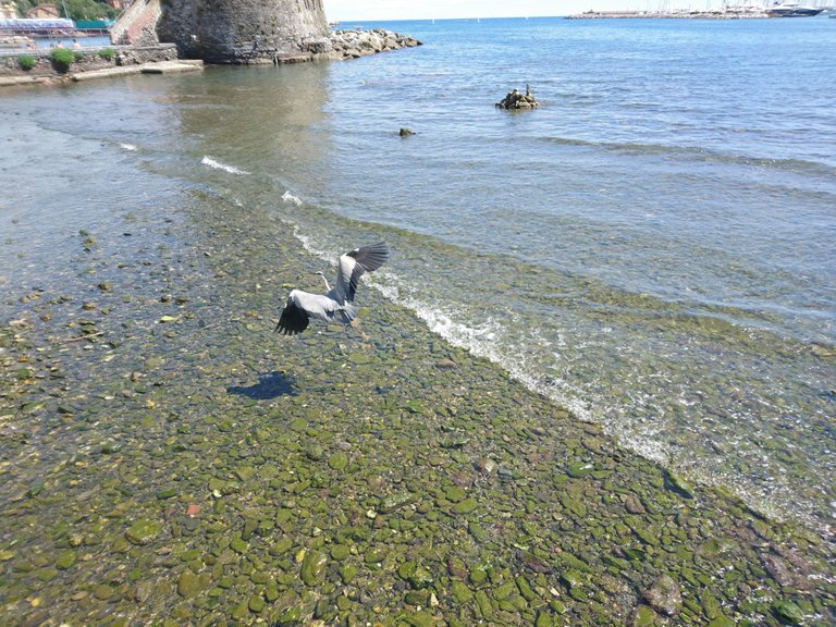 DSC_0833.jpg