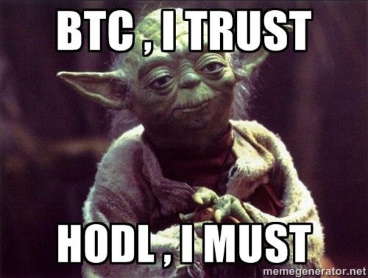 Screenshot-2017-10-21 hodl bitcoin - Google Search.png