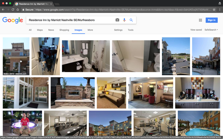 images from steemit in google image search.png