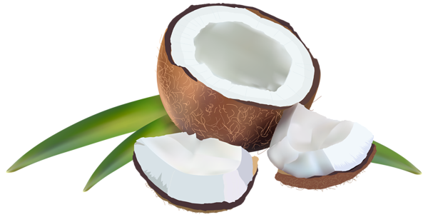 Coconut_with_Leaves_PNG_Clipart_Image.png