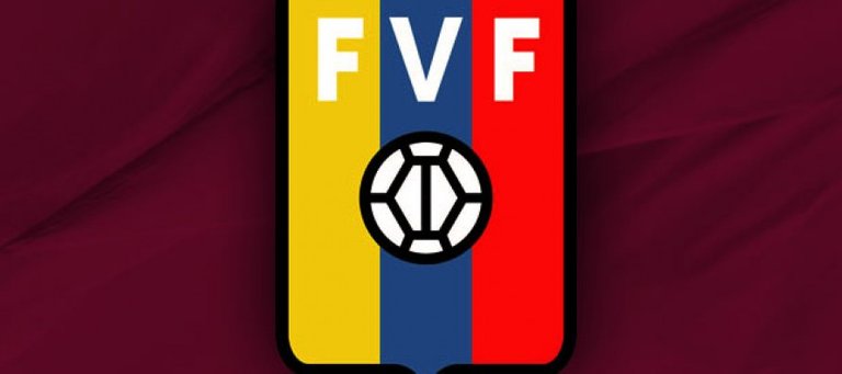 FederacionVenezolanadeFutbol-Vinotinto-890x395.jpg