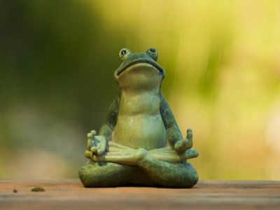 zen-frog-meditating-400x300.jpg