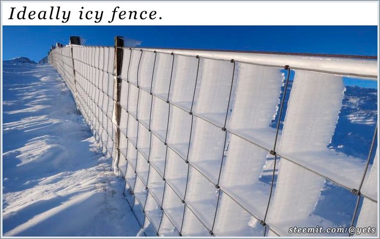 03_Ideally icy fence..jpg