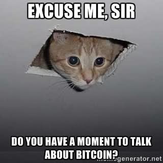 Cat-Saying-Excuse-Me-Sir-Do-You-Have-A-Moment-To-Talk-About-Bitcoin.jpg