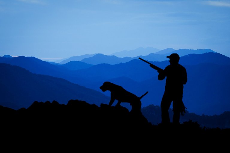 hunting-3145387_1920.jpg