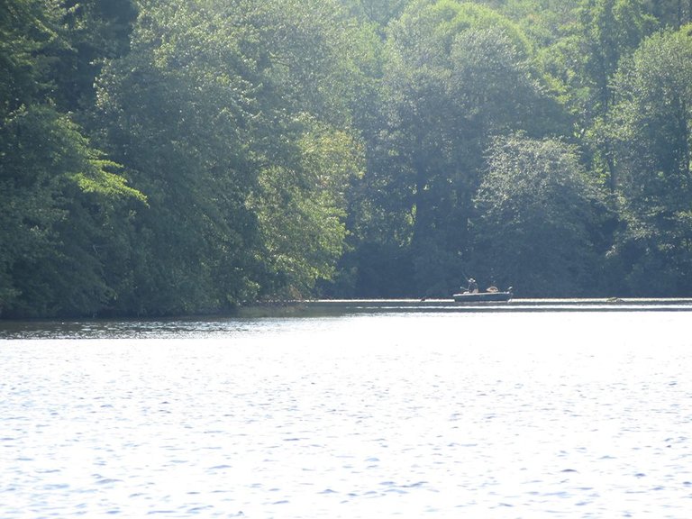 primavera en el lago 2.jpg