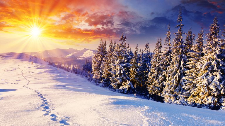 Winter-sun-ate-traces-of-HD-wallpaper.jpg