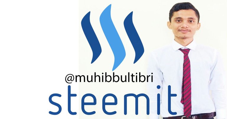 Steemit-big copy.jpg