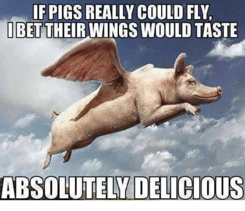 Pigs can fly!!.png