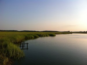 robster06-Marsh_delaware.jpg